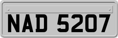 NAD5207