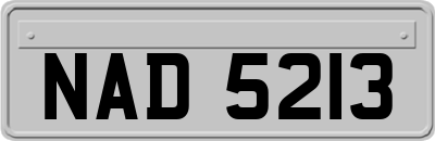 NAD5213