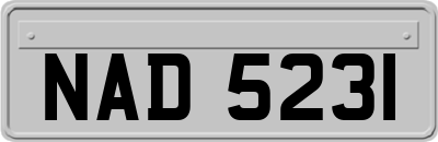 NAD5231