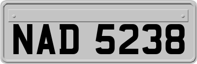 NAD5238