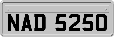 NAD5250