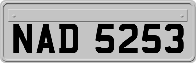 NAD5253