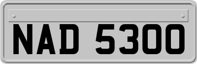 NAD5300