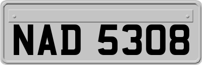 NAD5308