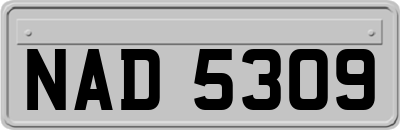 NAD5309