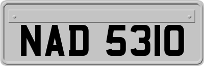 NAD5310