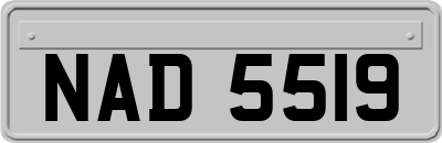 NAD5519