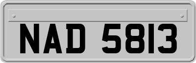 NAD5813