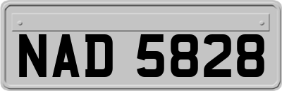 NAD5828