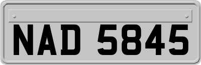 NAD5845