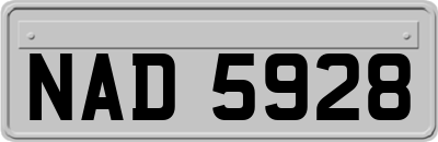 NAD5928