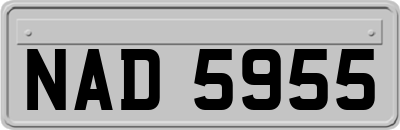 NAD5955