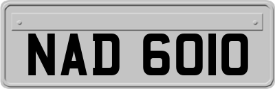 NAD6010