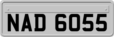 NAD6055