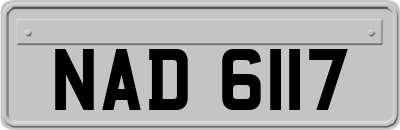 NAD6117