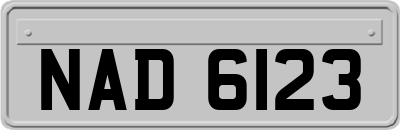 NAD6123