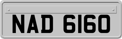 NAD6160