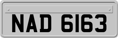 NAD6163