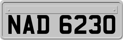 NAD6230