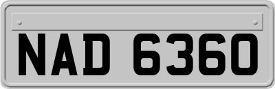 NAD6360