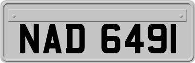 NAD6491