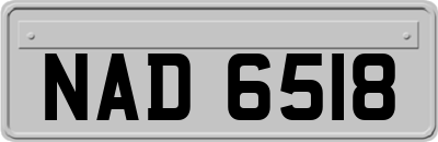 NAD6518