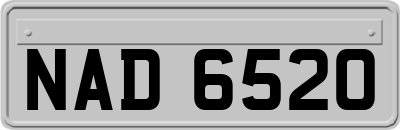 NAD6520