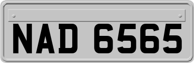 NAD6565