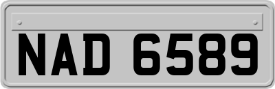 NAD6589