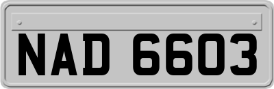 NAD6603