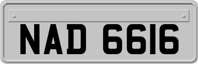 NAD6616