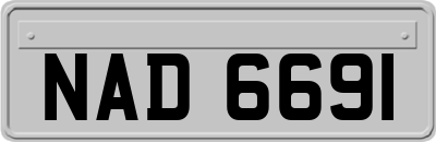 NAD6691