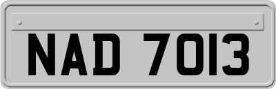 NAD7013