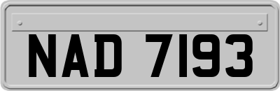 NAD7193