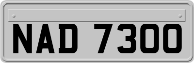 NAD7300