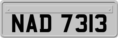 NAD7313