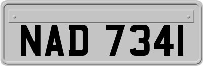 NAD7341