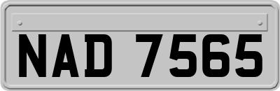 NAD7565