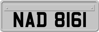 NAD8161