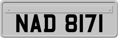 NAD8171