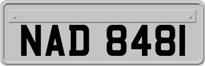 NAD8481