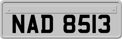 NAD8513