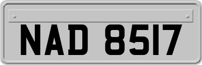 NAD8517