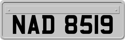 NAD8519