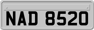 NAD8520