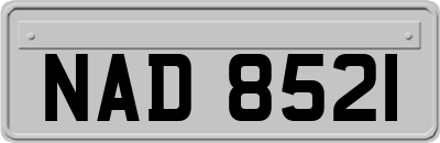 NAD8521