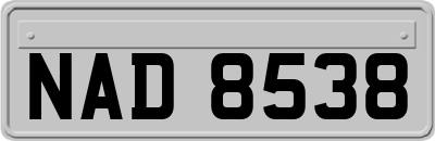 NAD8538