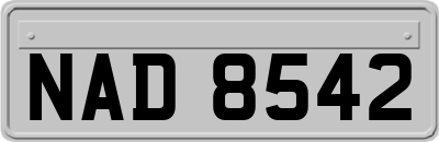 NAD8542