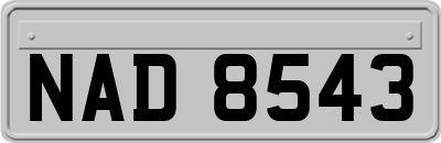 NAD8543