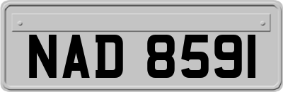 NAD8591